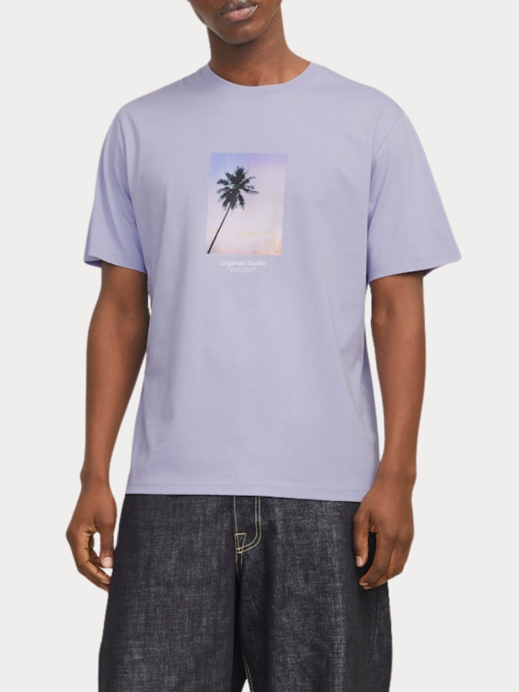 T-SHIRT JACK & JONES JORVESTERBRO PICTURE TEE SS CREW NECK COSMIC SKY JACK&JONES