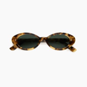 ΓΥΑΛΙΑ ΗΛΙΟΥ AKILA DAISY TORTOISE BROWN/GREEN