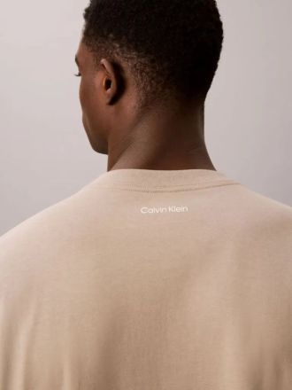 T-SHIRT CALVIN KLEIN SS 20S CALVIN RSRT CURSIVE GRA ROASTED CASHEW