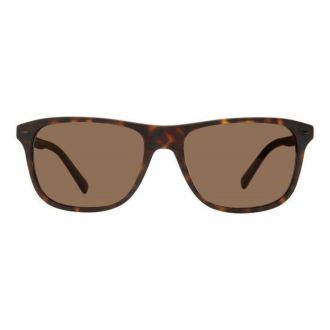 ΓΥΑΛΙΑ ΗΛΙΟΥ BANANA REPUBLIC TORTOISE BROWN